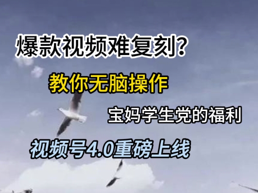 视频号4.0重磅上线，爆款视频难复刻？教你无脑操作宝妈学生党的福利