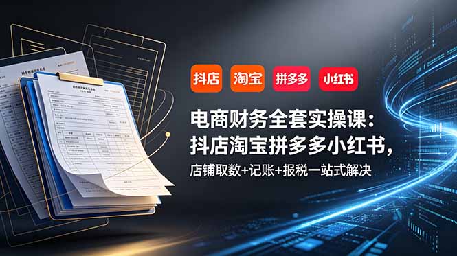 （19001期）电商财务全套实操课：抖店淘宝拼多多小红书，店铺取数+记账+报税一站式解决