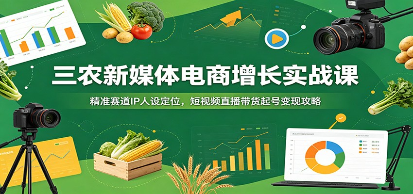 三农新媒体电商增长实战课：精准赛道IP人设定位，短视频直播带货起号变现攻略