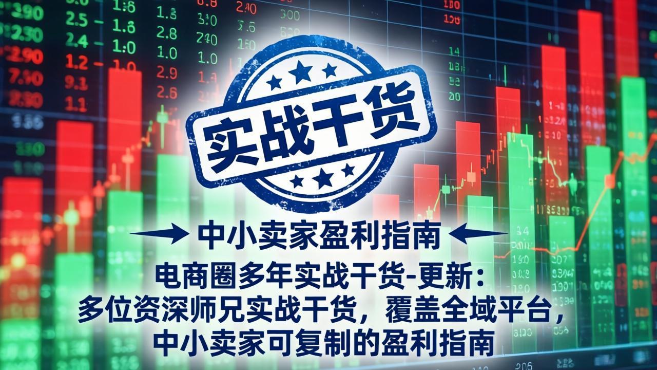 （19447期）电商圈多年实战干货-更新2026：多位资深师兄实战干货/覆盖全域平台，中小卖家可复制的盈利指南