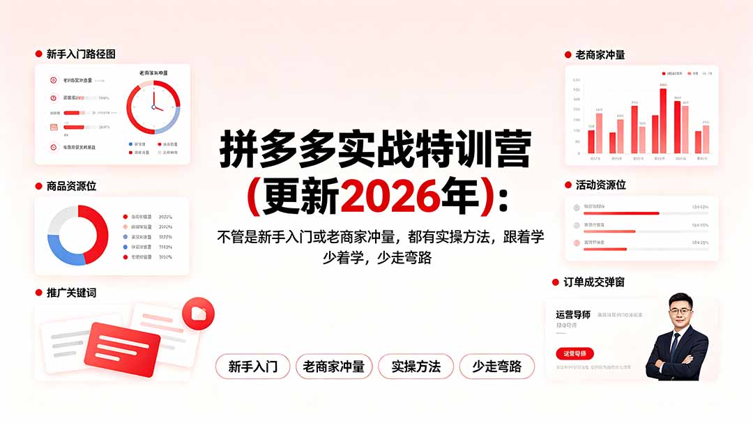 （19291期）拼多多实战特训营(更新2026年)：不管是新手入门或老商家冲量，都有实操方法，跟着学，少走弯路