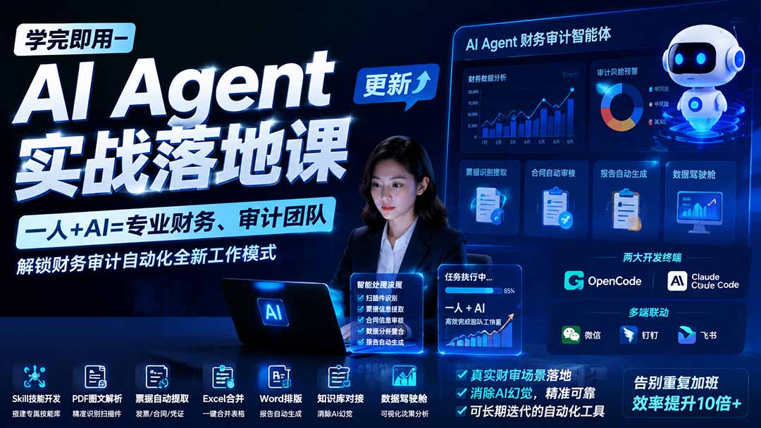 (20625期)【无水印】学完 即用-AI Agent实操落地课-更新0924:一人 + AI=专业财务、审计团队,解锁财务审计自动化全新工作模式