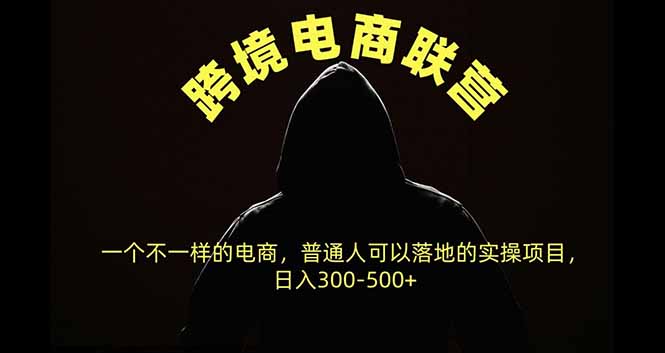 （20702期）跨境电商联营，一个不一样的电商，普通人可操作日入300-500+